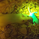 A mouse mom with her glowing pup, birthed from a 3D-printed ovary. Image: Northwestern University
